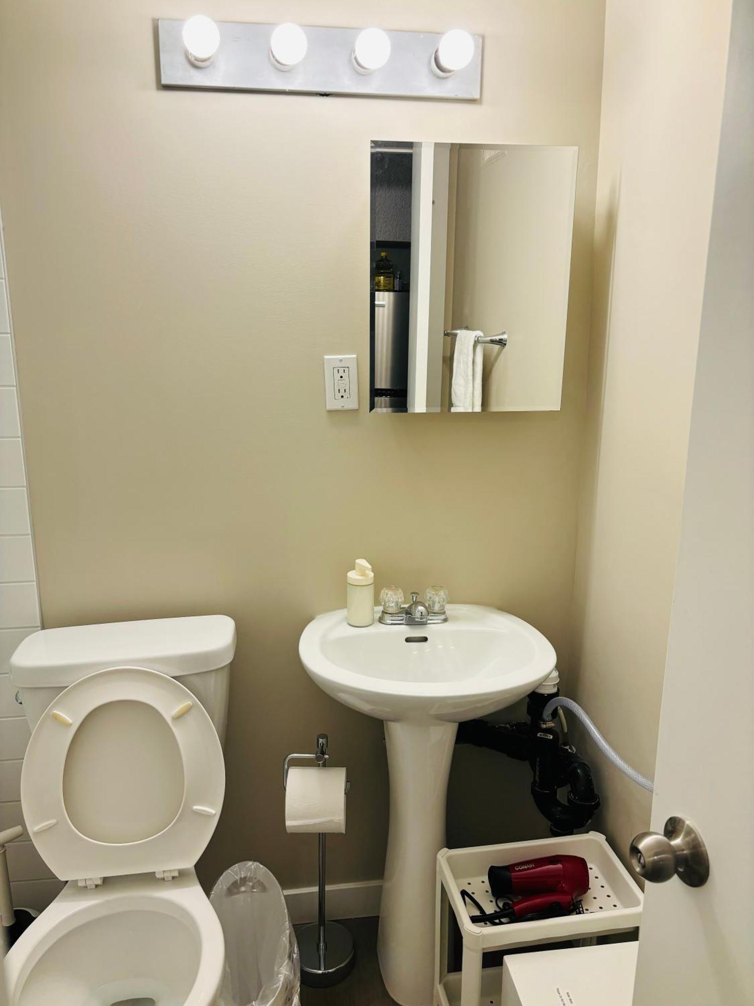 Apartment Walkout Basement With Free Street Parking *